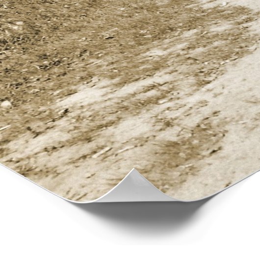 屋根付き橋 ポスター (角)