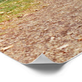 屋根付き橋 ポスター (角)