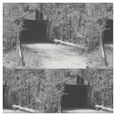 屋根付橋 ファブリック (クローズアップ)