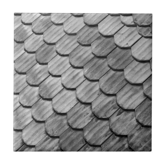 屋根瓦 タイル (正面)