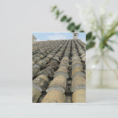 屋根 ポストカード (スタンド正面)