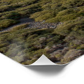 展望台ラパルマ ポスター (コーナー)