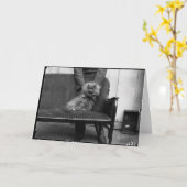 展覧会猫クラブ- Mondial 493 カード (黄色い花)