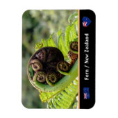 展開するシダ，ニュージーランド，ウィルダネス マグネット (縦)