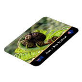 展開するシダ，ニュージーランド，ウィルダネス マグネット (左側)