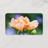 展開する欲望 名刺 (裏面)