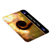 展開シダ，ニュージーランド，ウィルダネス/Aotearoa マグネット (右側)