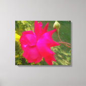 展開美しい:赤いバラとその芽 キャンバスプリント (正面)