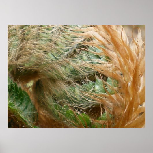 展開 ポスター (正面)