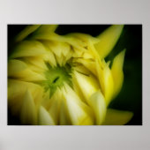 展開 ポスター (正面)