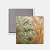 展開 マグネット (正面/裏面)