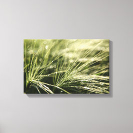 展開《写真》ぼけ味 キャンバスプリント