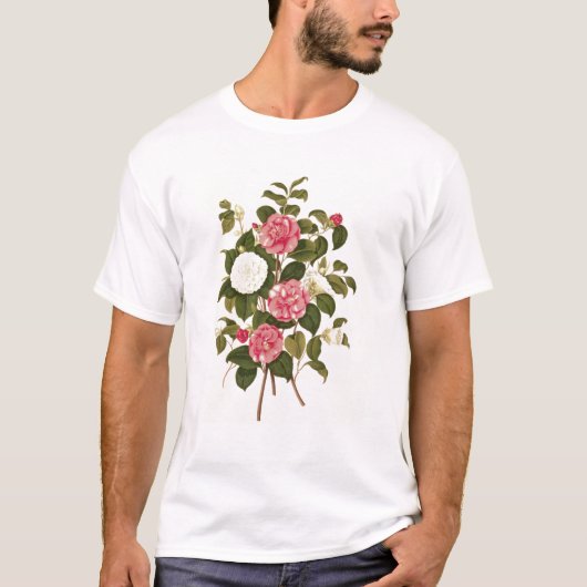 "属のモノグラフからのツバキ Tシャツ (正面)