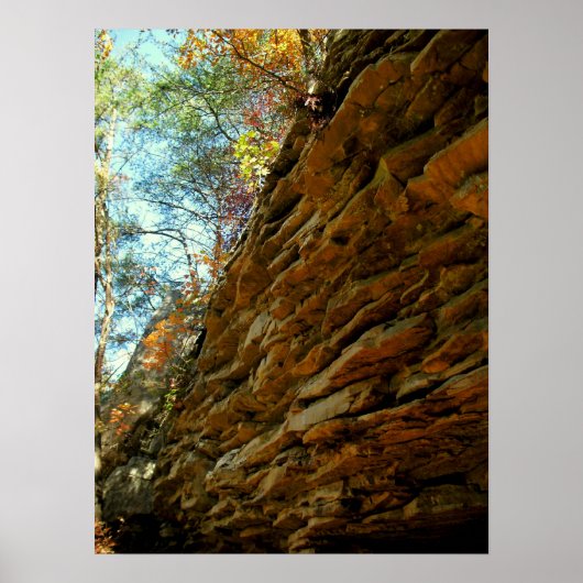 層岩の壁 ポスター (正面)