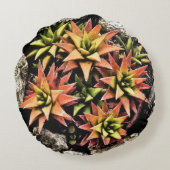 層状の星型多肉植物/サケ・グリーン ラウンドクッション (裏面)