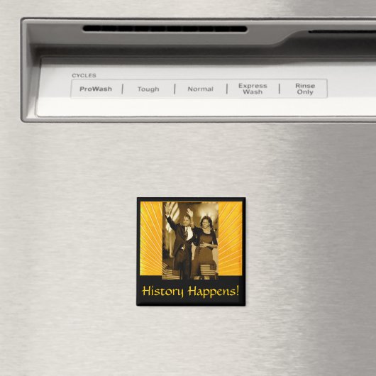 履歴の発生 マグネット (インサイチュ (食洗機))