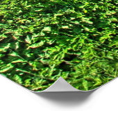 山々の熱狂する牛 ポスター (角)