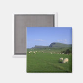 山々、スカイル島、高地 マグネット (正面/裏面)