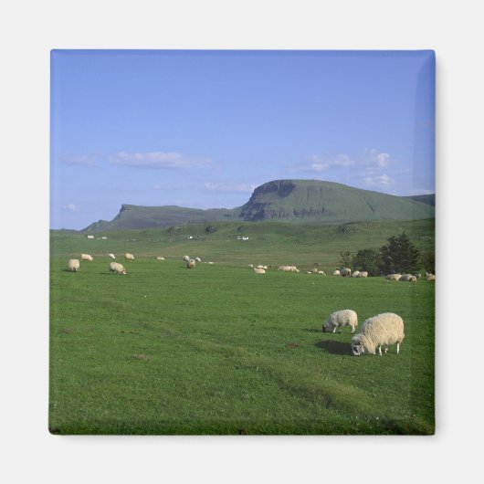 山々、スカイル島、高地 マグネット (正面)