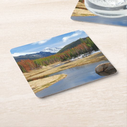 山およびマツとの巻上げコロラド川 スクエアペーパーコースター (アングル)