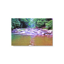 山かわいらし陽光ツリーズクリーク写真