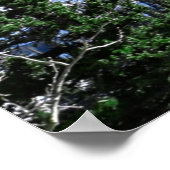 山が鳴って行かなければならぬ ポスター (角)