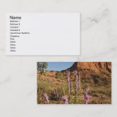 山とゲイフェザー 名刺 (正面/裏面)