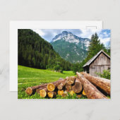 山と森林の伐採キャンプ ポストカード (正面/裏面)