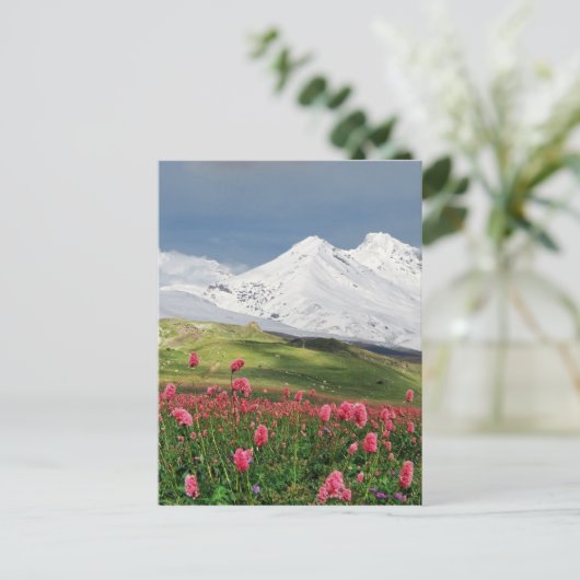 山と草地 ポストカード (スタンド正面)