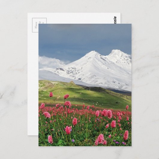 山と草地 ポストカード (正面/裏面)