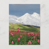 山と草地 ポストカード (正面)