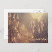 山に沈む夕日 ポストカード (正面/裏面)