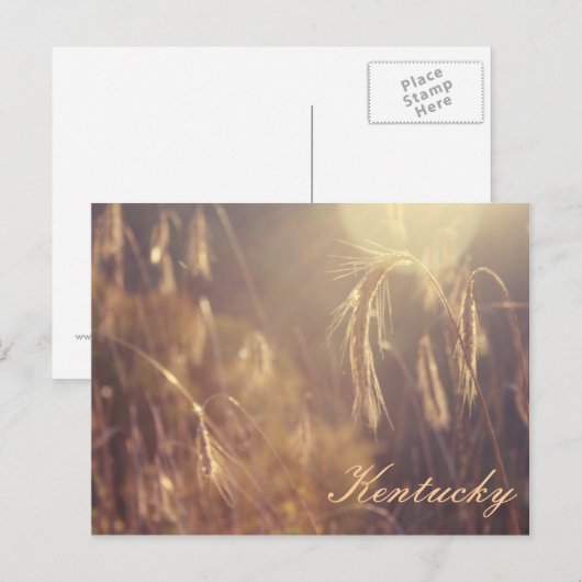 山に沈む夕日 ポストカード (正面/裏面)