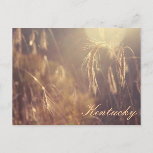 山に沈む夕日 ポストカード (正面)