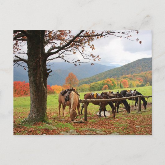山のはがきに乗る馬 ポストカード (正面)