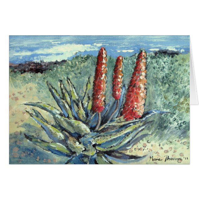 山のアロエ (正面横)