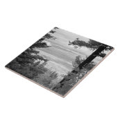 山のサンディアの頂から西へ タイル (側面)