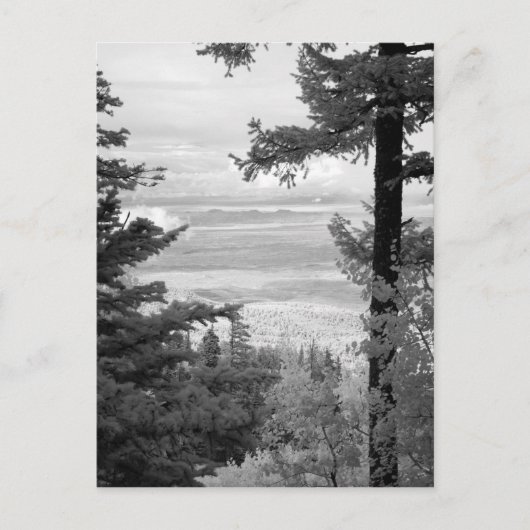 山のサンディアの頂から西へ ポストカード (正面)