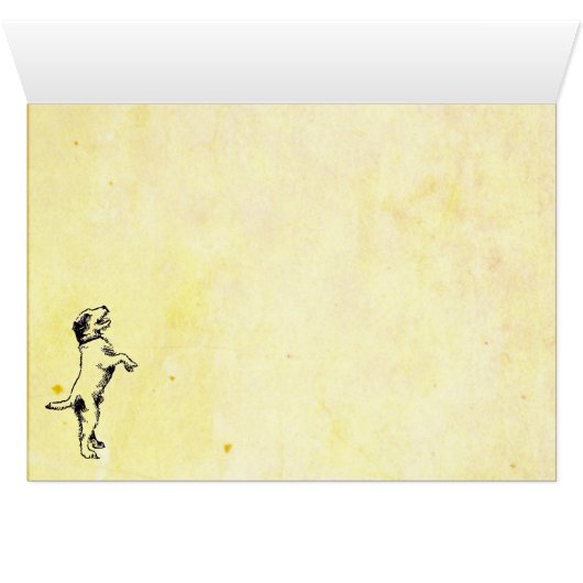 山のチャックワゴン (内部横(下))