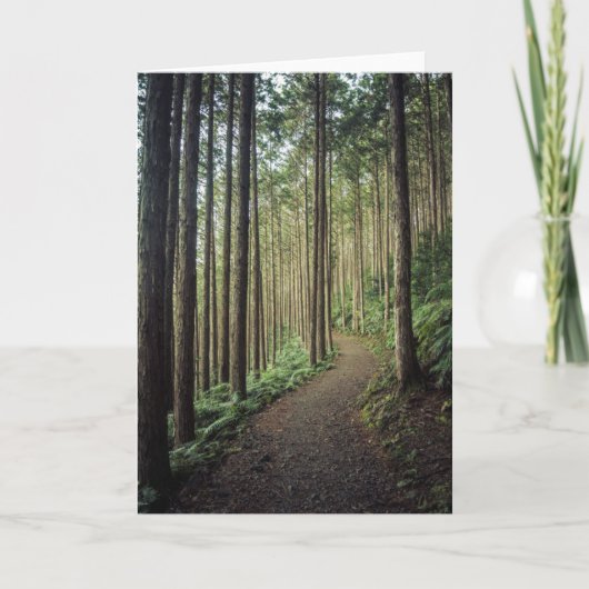 山のハイキング |和歌山,日本 カード (正面)