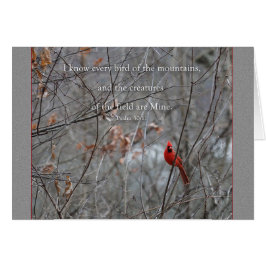 山のパラカレオノートカードのすべての鳥