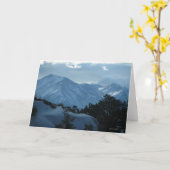 山のプリンストンコロラド州カード カード (黄色い花)