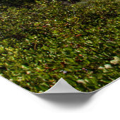 山のポス威厳のあるター紙（マット） ポスター (角)