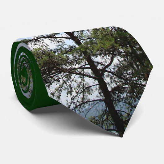 山のマツ ネクタイ (ロール)