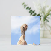 山の上のバブーンモンキー カード (スタンド正面)