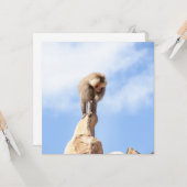 山の上のバブーンモンキー カード (正面/裏面インサイチュ)