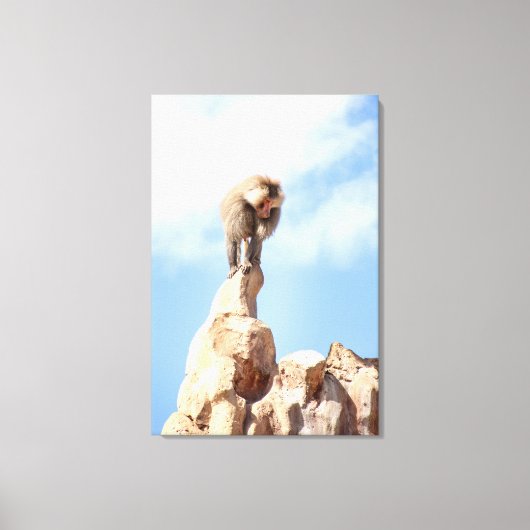 山の上のバブーンモンキー キャンバスプリント (正面)