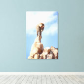 山の上のバブーンモンキー キャンバスプリント (インサイチュ (ウッドフロア))