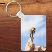 山の上のバブーンモンキー キーホルダー (正面)