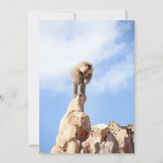 山の上のバブーンモンキー サンキューカード (正面)